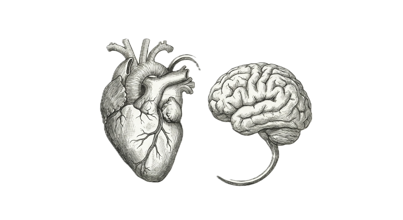 Psychology & Wellbeing