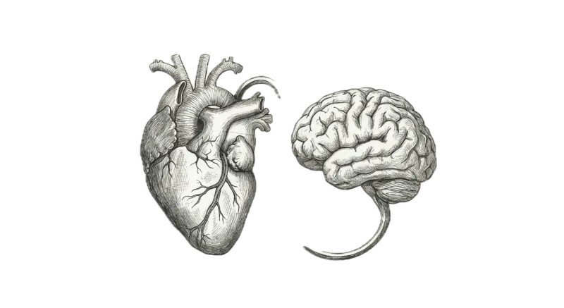 Psychology & Wellbeing